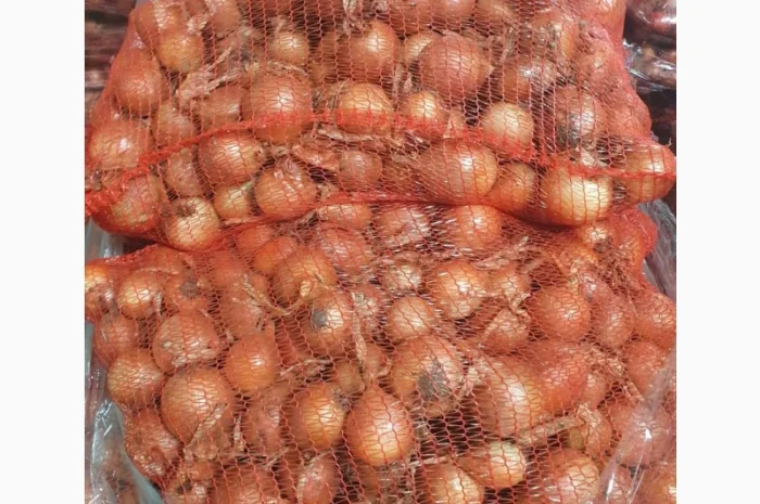 Продається цибуля сорт Саброссо- фото № 4