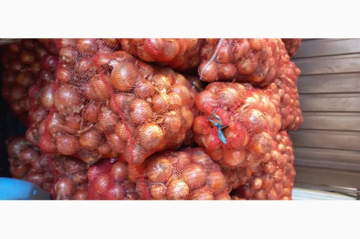 Продаж цибулі сорт ДАЙТОНА F1 та БАНКО- фото № 1