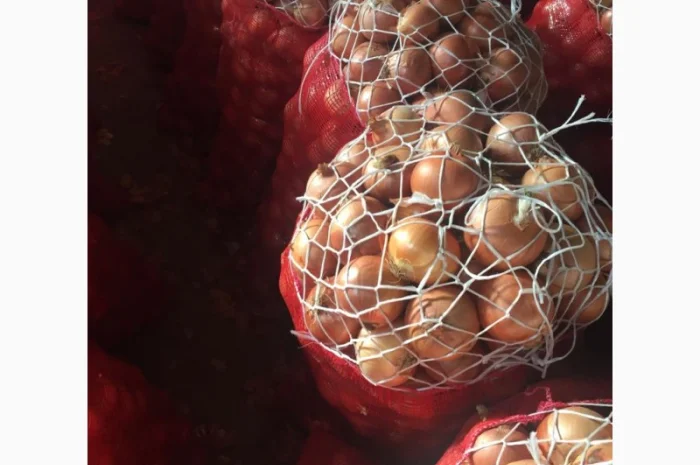 Оптовая продажа качественного лука из Турции- фото № 1