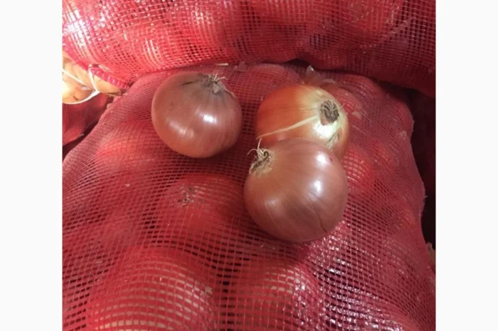 Оптовая продажа качественного лука из Турции- фото № 2