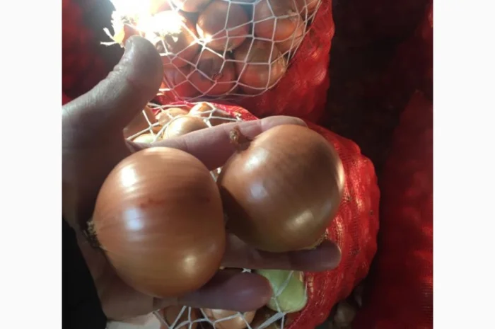 Оптовая продажа качественного лука из Турции- фото № 4