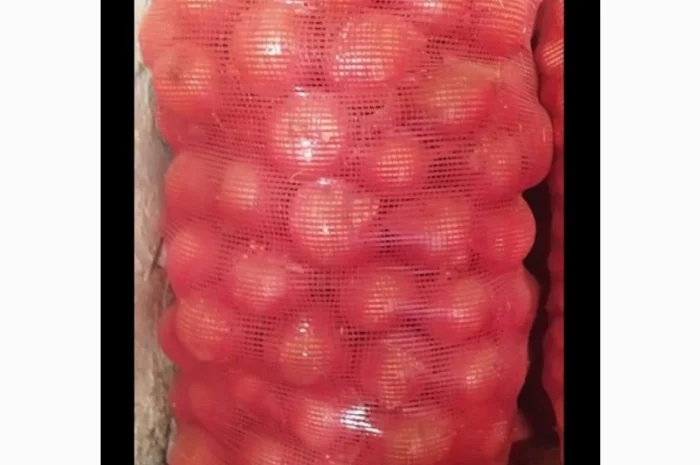 Оптовая продажа качественного лука из Турции- фото № 7