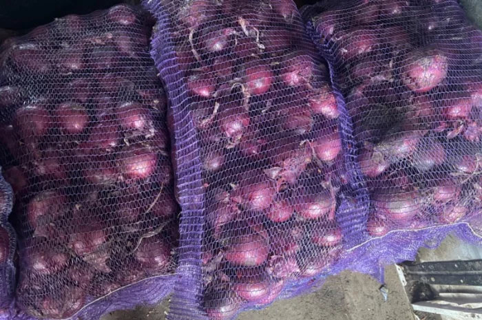 Продам крупный лук марс качество супер- фото № 1