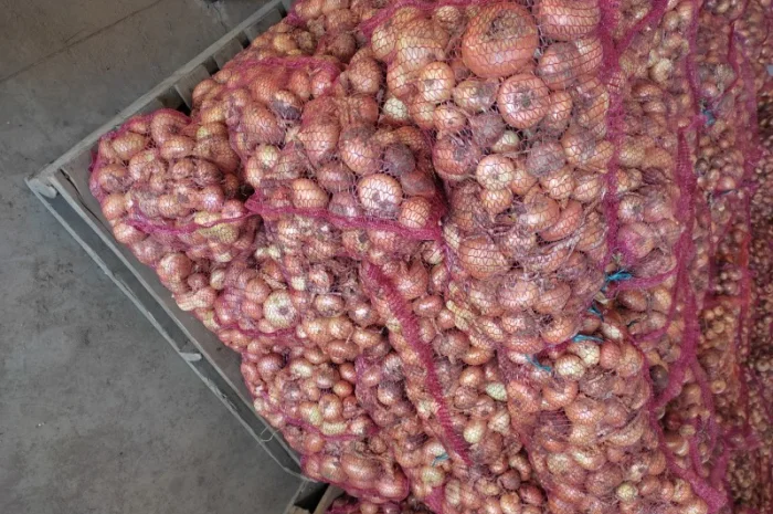 Продам штутгарт- фото № 1