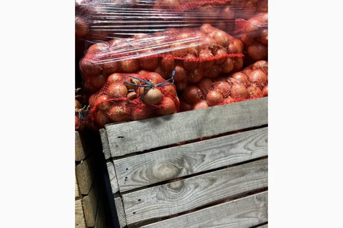 Лук (молдавский)- фото № 1