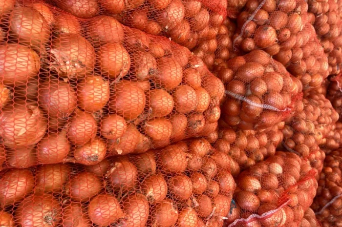 Лук (молдавский)- фото № 2