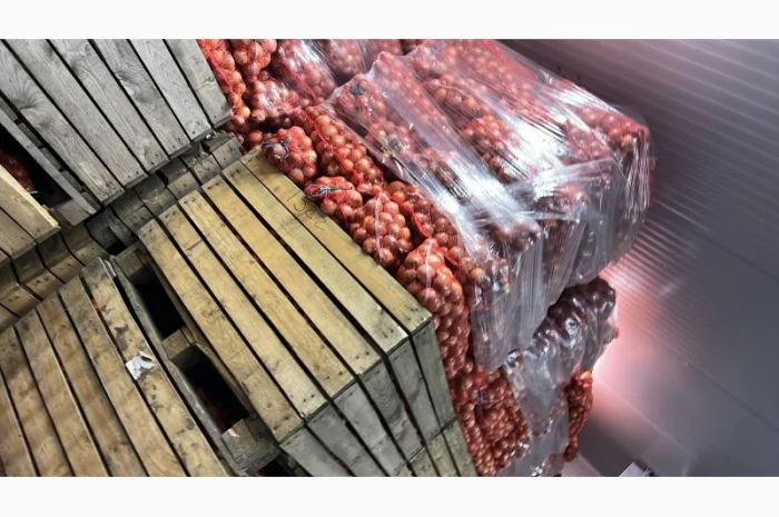 Лук (молдавский)- фото № 3