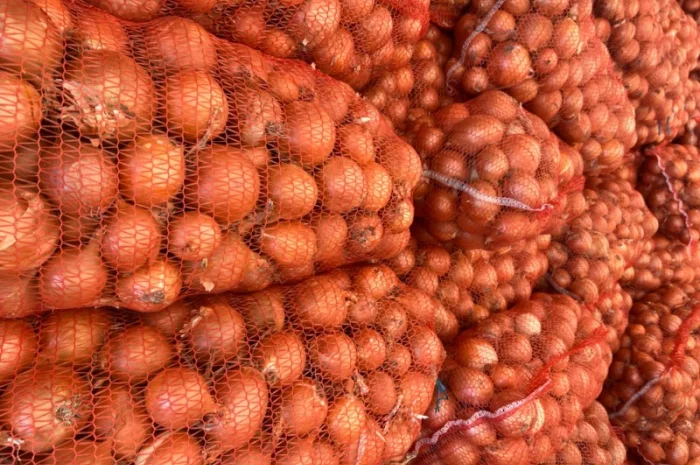 Лук (молдавский)- фото № 4