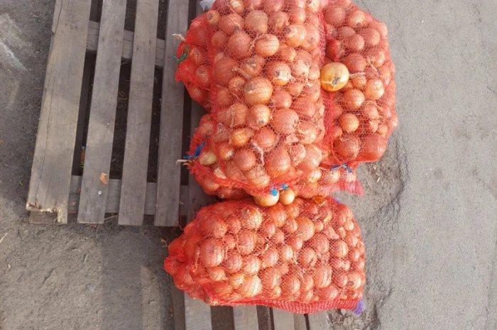 Продам лук Киев- фото № 2