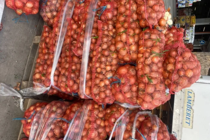 Продаю лук сорт штутгарт- фото № 3