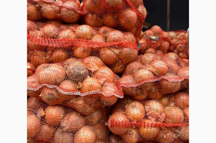 Продам лук (цибулю) от 1 тонны. Нал и б/н. Сорт медуза- фото № 1