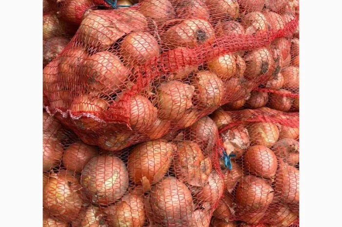 Продам лук (цибулю) от 1 тонны. Нал и б/н. Сорт медуза- фото № 2