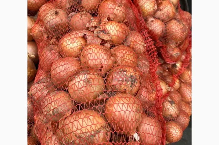 Продам лук (цибулю) от 1 тонны. Нал и б/н. Сорт медуза- фото № 3