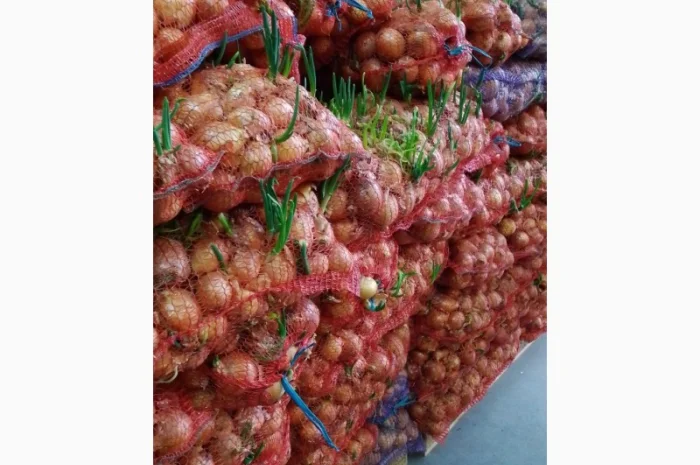 Продам цибулю- фото № 1