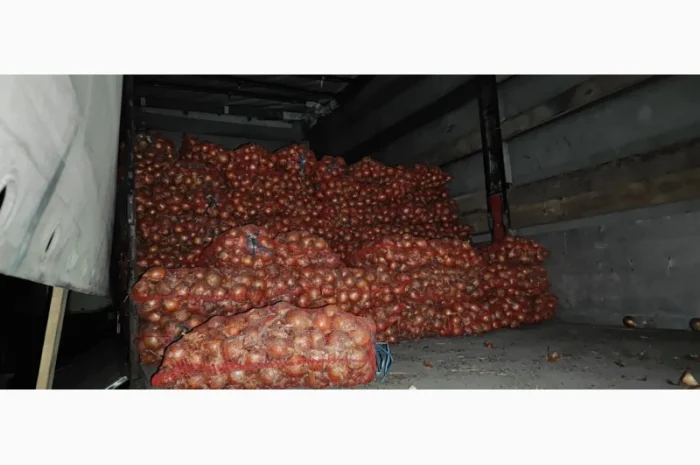 Продам лук Дерек- фото № 1