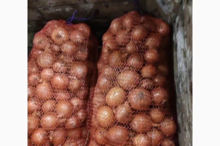 Продам Лук- фото № 2