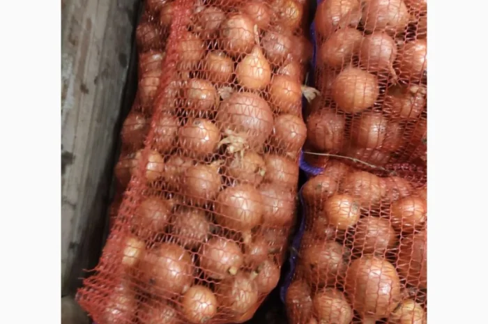 Продам Лук- фото № 3