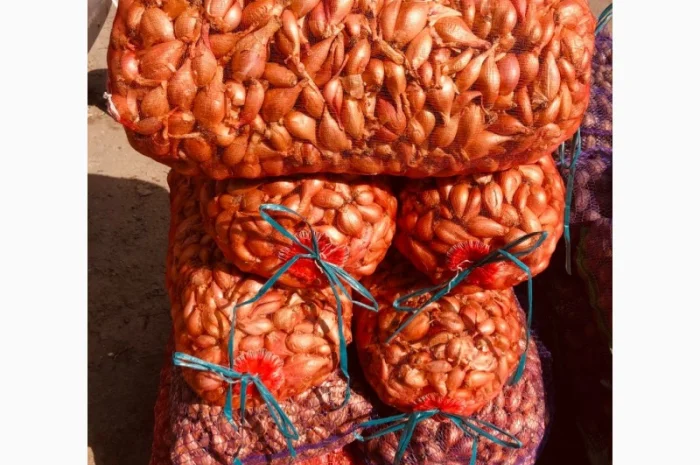 Куплю лук кущевку шалот- фото № 1