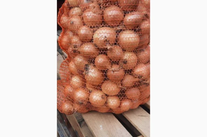 Продам лук желтый Польша размер+ 40 в мешках по 15 кг- фото № 1