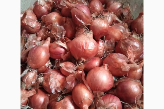 Продам кущівку- фото № 1