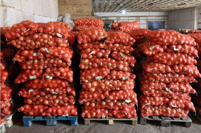 Купим лук- фото № 2