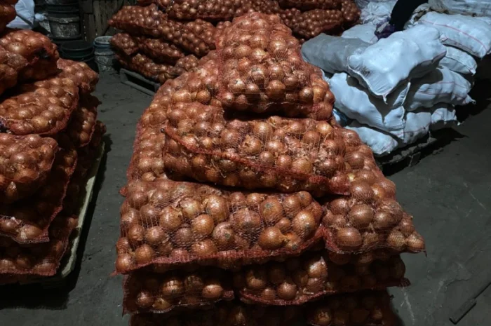 Продам цибулю. Сорт Медуза- фото № 2