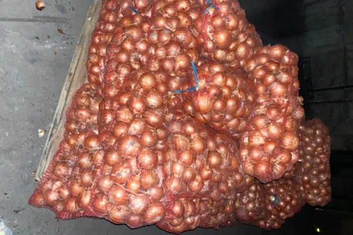 Продам цибулю. Сорт Медуза- фото № 3