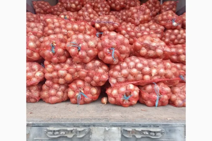 Продам качественный лук- фото № 2