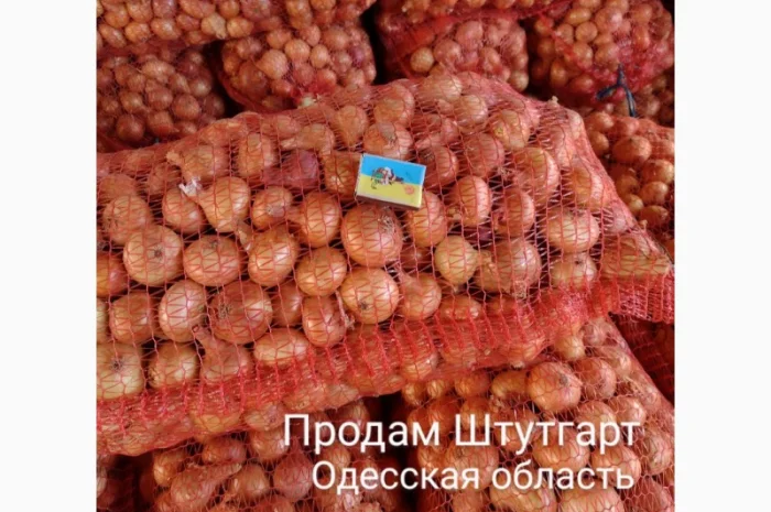 Штутгарт на перо- фото № 1