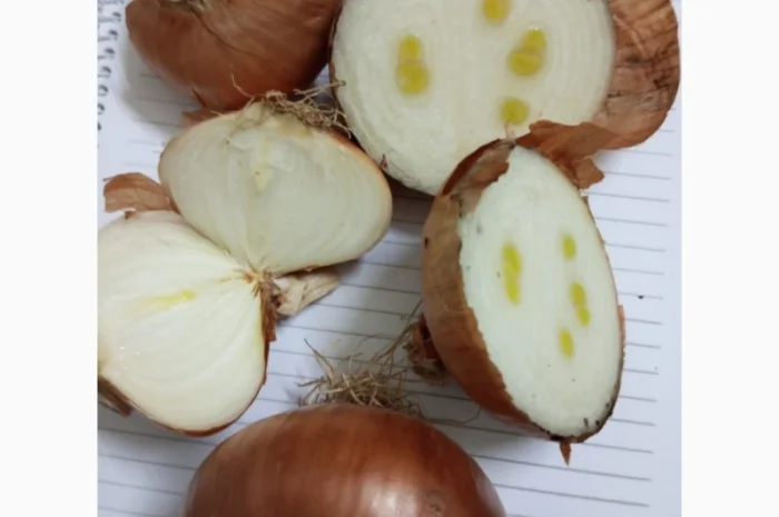 Штутгарт на перо- фото № 3