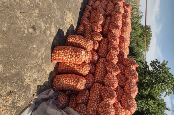 Штутгарт на перо- фото № 4