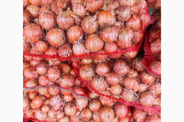 Продам цибулю- фото № 1