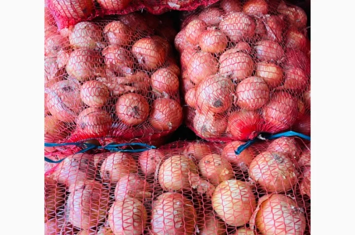 Продам цибулю- фото № 2