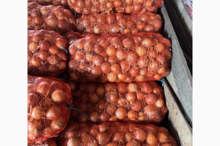 Продам лук желтий- фото № 1