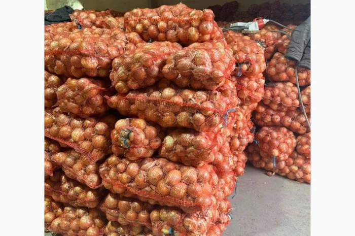 Продам лук желтий- фото № 2