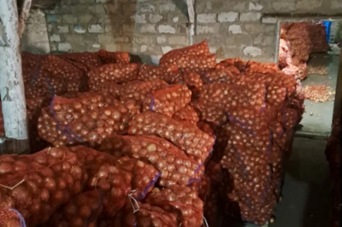 Продам лук- фото № 3