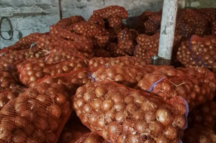 Продам лук- фото № 6