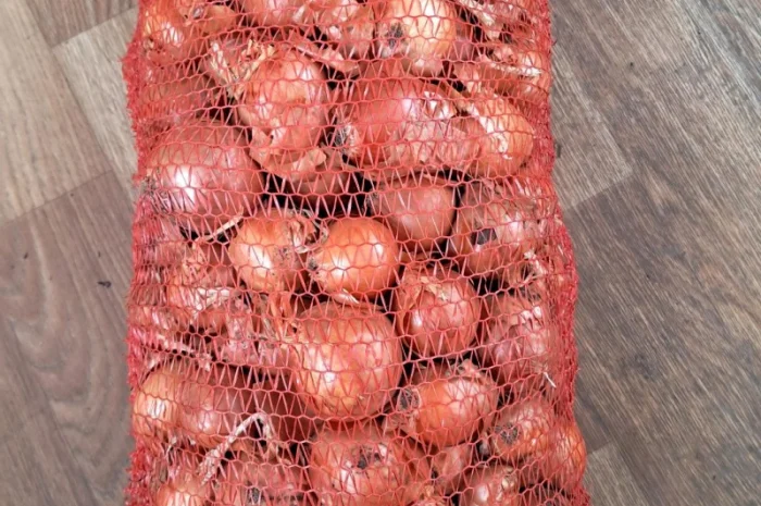 Продам лук- фото № 7