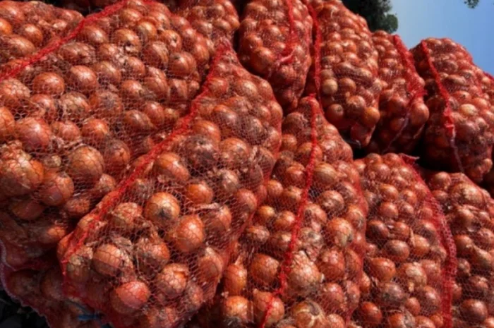 Продам лук- фото № 2