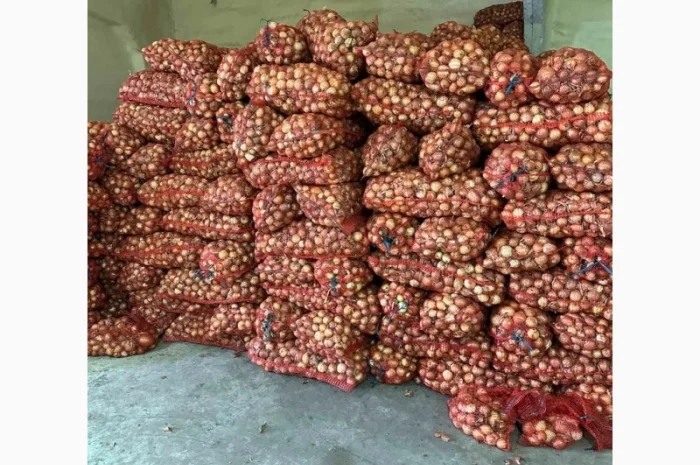 Продам цибулю- фото № 1