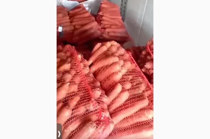 Куплю крупную морковь для шинковки- фото № 1