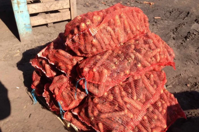 Продаж моркви від фермера, 5 тонн- фото № 3