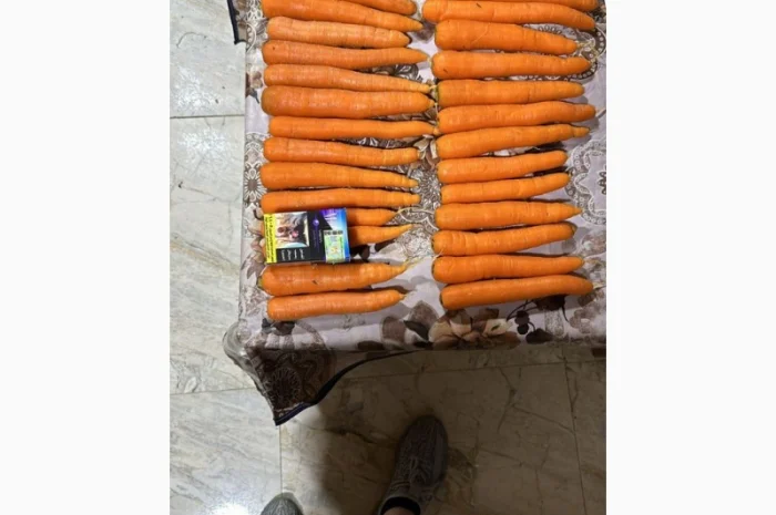 Морковь урожай 2024- фото № 2