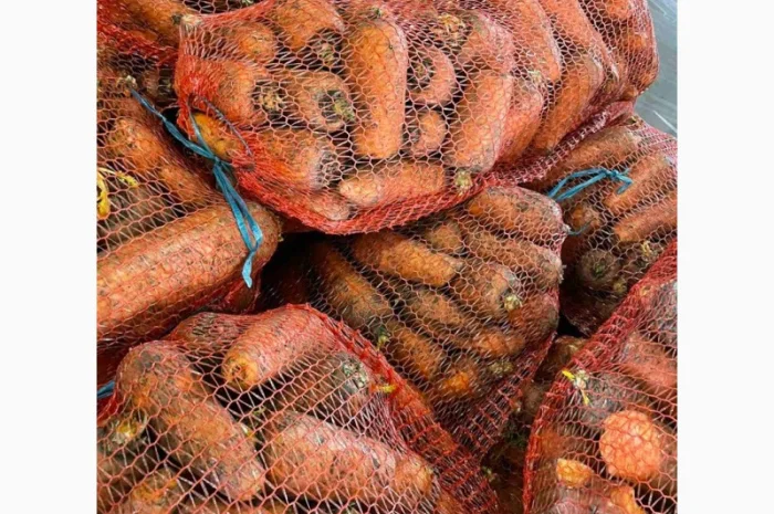 Куплю моркву другого сорту- фото № 1