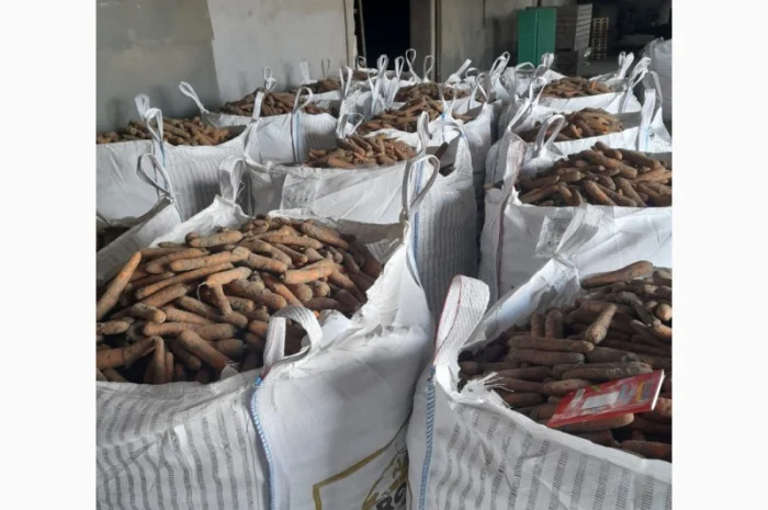 Продаж моркви Биг Баг по 15 кг- фото № 4