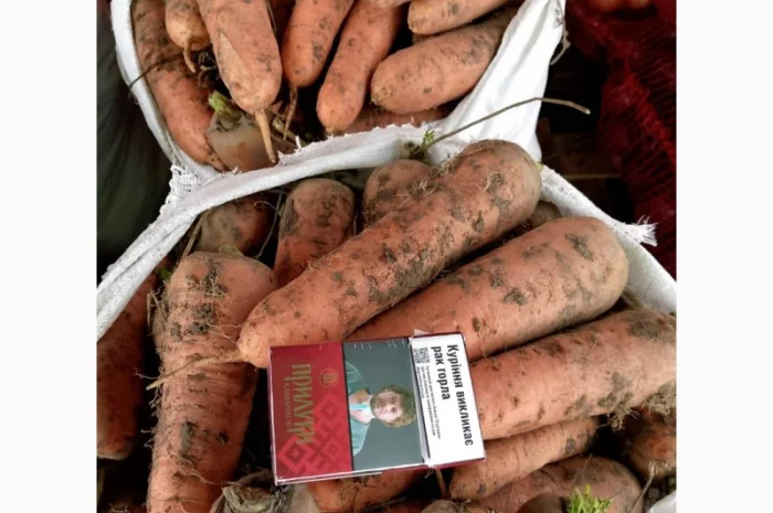 Продаж моркви сорту Каскад- фото № 2