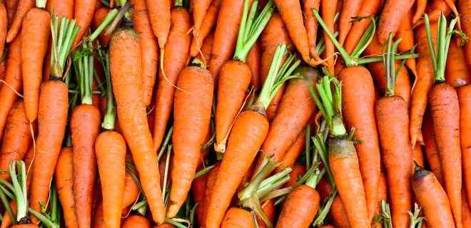 Купівля моркви ІІ сорту від 20 тонн- фото № 1
