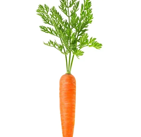 Покупка товарної моркви 2023 року- фото № 1