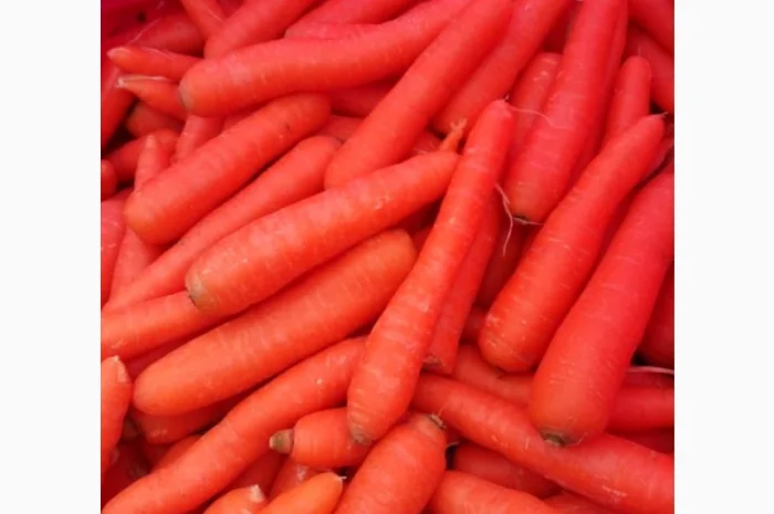 Оптовая продажа МОРКОВЬ качественных- фото № 1