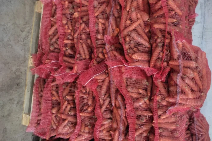 Продам моркву- фото № 2